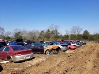 41-A Auto Parts & Sales JunkYard in Nashville (TN) - photo 3