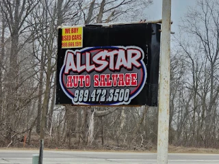 Allstar Auto Salvage JunkYard in Lansing (MI) - photo 2