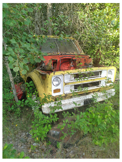 Fisher's Auto Parts JunkYard in Minneapolis (MN) - photo 4