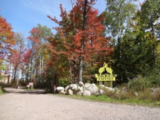 Oak Leaf Auto Salvage LLC JunkYard in Madison (WI) - photo 4