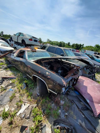 North Brevard Auto Salvage JunkYard in Palm Bay (FL) - photo 4