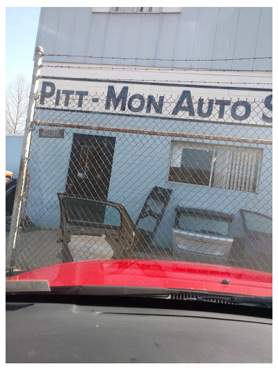 Pitt-Mon Auto Inc JunkYard in Pittsburgh (PA) - photo 1