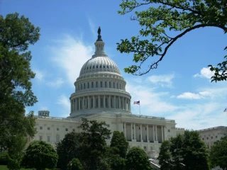 Washington JunkYard in Washington (DC) - photo 3