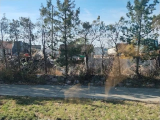 Red Metals Recycling JunkYard in Detroit (MI) - photo 2