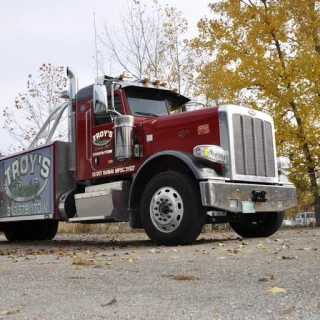 Troy's Towing JunkYard in Detroit (MI) - photo 1