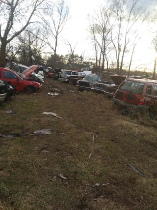 Freeman's Auto Salvage JunkYard in Flint (MI) - photo 1