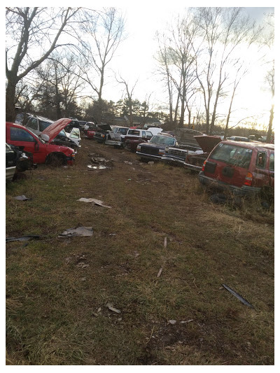 Freeman's Auto Salvage JunkYard in Flint (MI) - photo 1