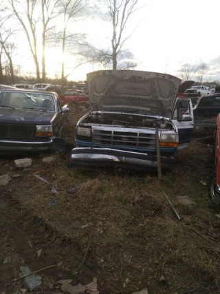 Freeman's Auto Salvage JunkYard in Flint (MI) - photo 2