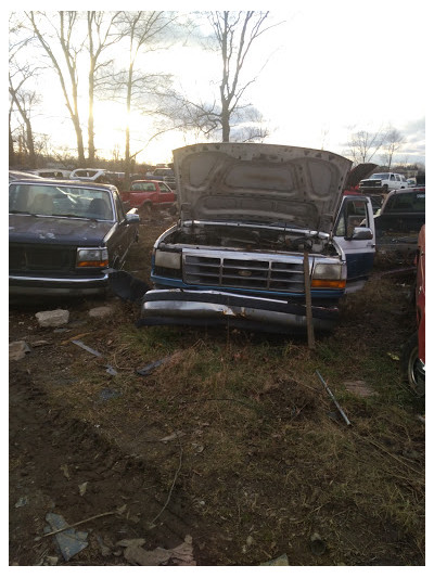 Freeman's Auto Salvage JunkYard in Flint (MI) - photo 2