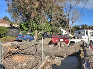 Roza Roadside Assistance JunkYard in Elk Grove (CA) - photo 4