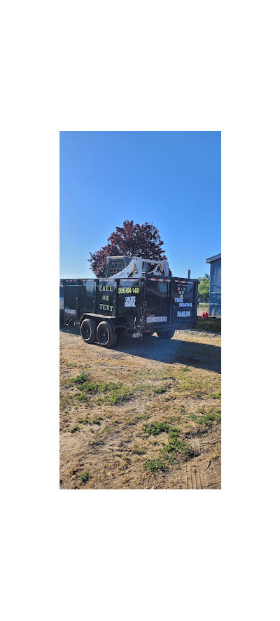 Maldonado's junk removal &hauling JunkYard in Modesto (CA) - photo 1