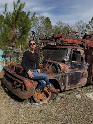 Wayne's Junk Yard JunkYard in Panama City (FL) - photo 4