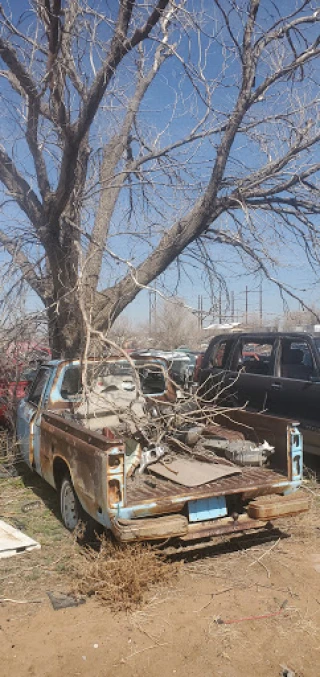 Cherry Avenue Auto Parts JunkYard in Amarillo (TX) - photo 2