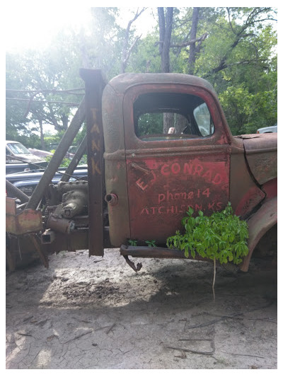 Davis Auto Wrecking JunkYard in Blue Springs (MO) - photo 3