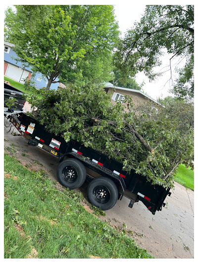 TLC Junk Hauling and Yard Waste Removal Of Omaha JunkYard in La Vista (NE) - photo 3