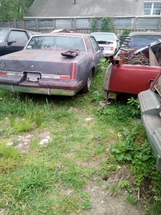 Roger's G-Body Parts JunkYard in Channelview (TX) - photo 3