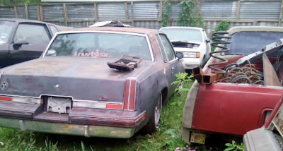 Roger's G-Body Parts JunkYard in Channelview (TX) - photo 4