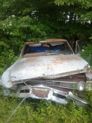 Darrah's Automotive-Recycling JunkYard in York (PA) - photo 2