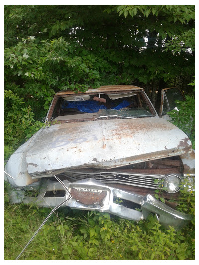 Darrah's Automotive-Recycling JunkYard in York (PA) - photo 2