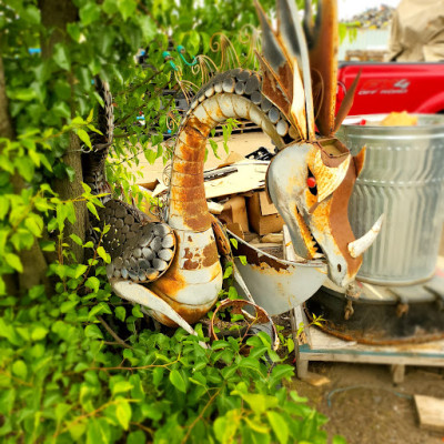 Elizabeth River Recycling JunkYard in Chesapeake (VA) - photo 2