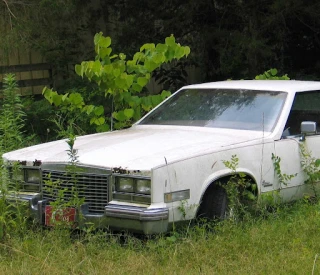 Cash For Junk Car Miami JunkYard in Miami Gardens (FL) - photo 3