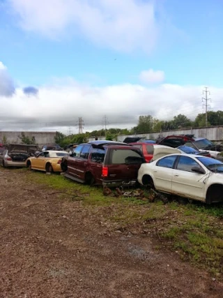 Trenton Auto Parts JunkYard in Detroit (MI) - photo 4