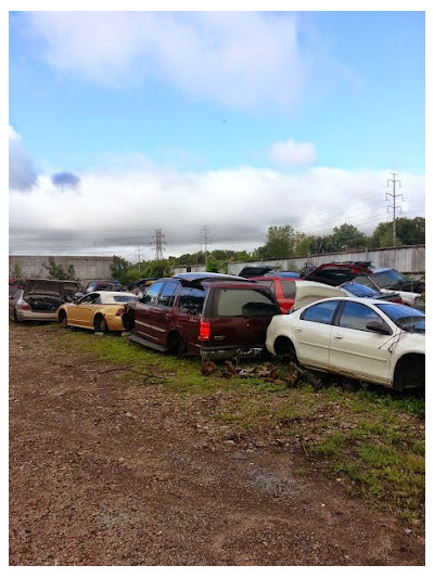 Trenton Auto Parts JunkYard in Detroit (MI) - photo 4