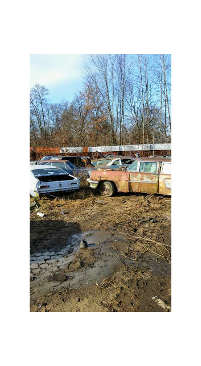 Hines Salvage Yard JunkYard in Elkhart (IN) - photo 4