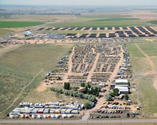 Active Truck Parts JunkYard in Westminster (CO) - photo 3