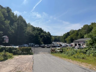 Chicopee Auto Farm JunkYard in Springfield (MA) - photo 3