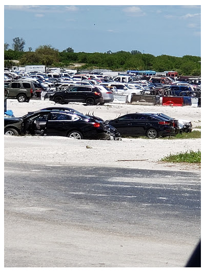 Ole South Auto Salvage JunkYard in Lehigh Acres (FL) - photo 2