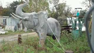 Burkhalter Wrecking Inc JunkYard in Jacksonville (FL) - photo 3