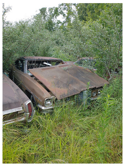 Eaton's auto salvage JunkYard in Champaign (IL) - photo 1