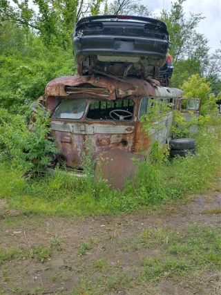 Eaton's auto salvage JunkYard in Champaign (IL) - photo 3