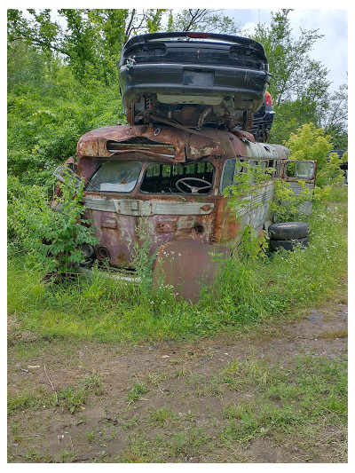 Eaton's auto salvage JunkYard in Champaign (IL) - photo 3