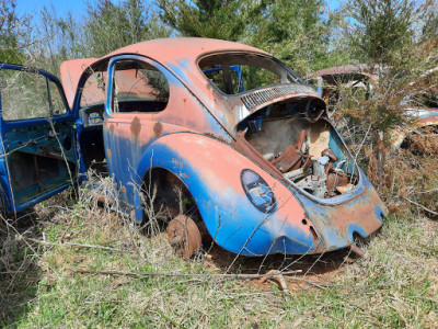 L & L Auto Salvage JunkYard in Charlotte (NC) - photo 1