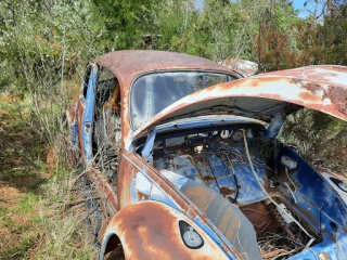 L & L Auto Salvage JunkYard in Charlotte (NC) - photo 3