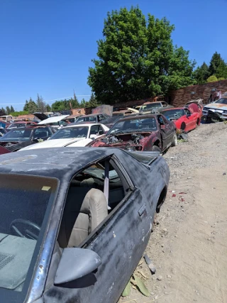 You Pull It Auto Wreckers JunkYard in Cape Coral (FL) - photo 3