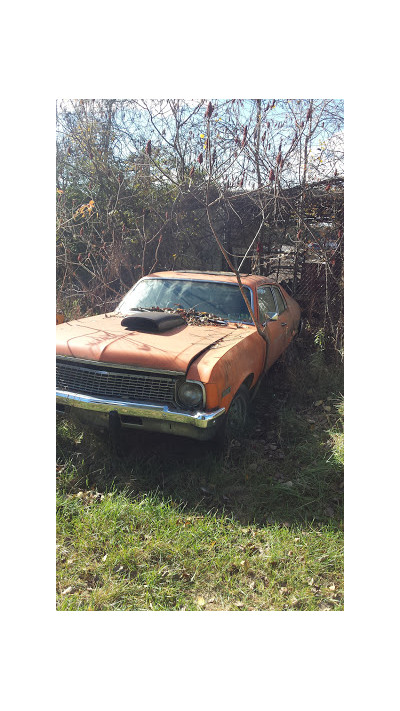 Johnson's Auto Crusher Inc JunkYard in New York (NY) - photo 1