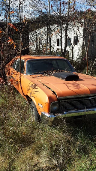 Johnson's Auto Crusher Inc JunkYard in New York (NY) - photo 4