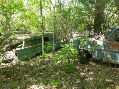 Joes Auto Sales JunkYard in Minneapolis (MN) - photo 2