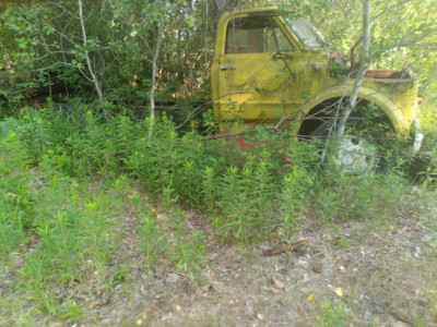 Fisher's Auto Parts JunkYard in Minneapolis (MN) - photo 1