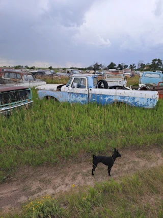 Taylor's Auto Repair & Salvage JunkYard in Lincoln (NE) - photo 2