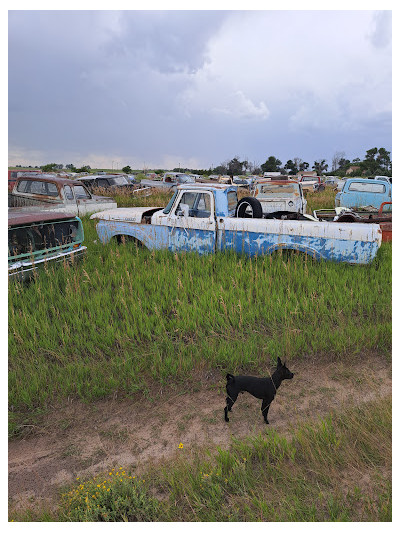 Taylor's Auto Repair & Salvage JunkYard in Lincoln (NE) - photo 2