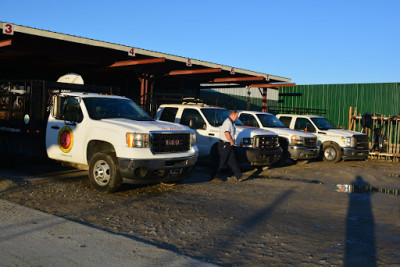 Wayne Auto Salvage JunkYard in Raleigh (NC) - photo 4