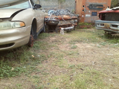 V & M Junkyard & Auto Repair JunkYard in Laredo (TX) - photo 2