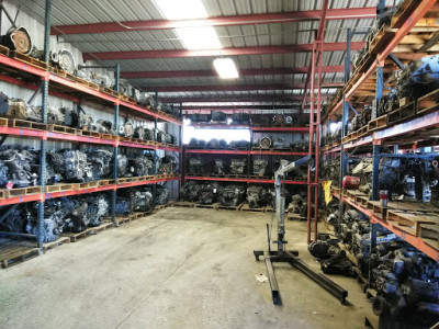 Discount Auto Used Parts JunkYard in South Alamo (TX) - photo 3