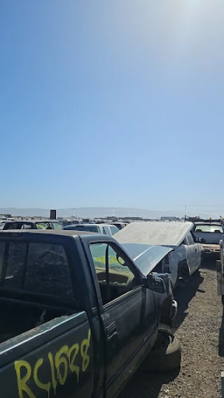 Black Road Auto JunkYard in Santa Maria (CA) - photo 3