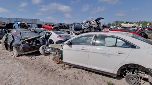 Tampa Bay junk Car Buyers JunkYard in Tampa (FL) - photo 1