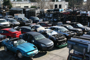 Tampa Bay junk Car Buyers JunkYard in Tampa (FL) - photo 2